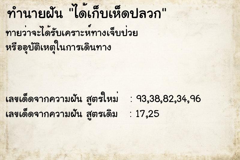 ทำนายฝัน ได้เก็บเห็ดปลวก  เลขนำโชค 