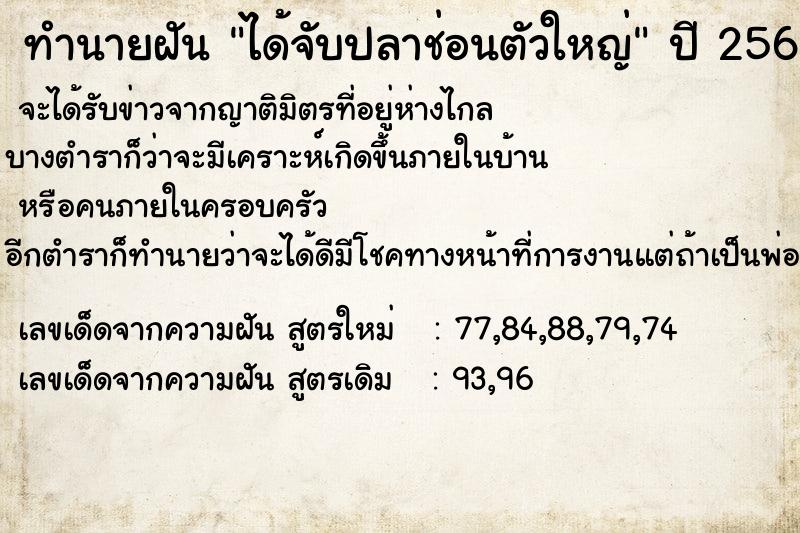 ทำนายฝัน ได้จับปลาช่อนตัวใหญ่  เลขนำโชค 