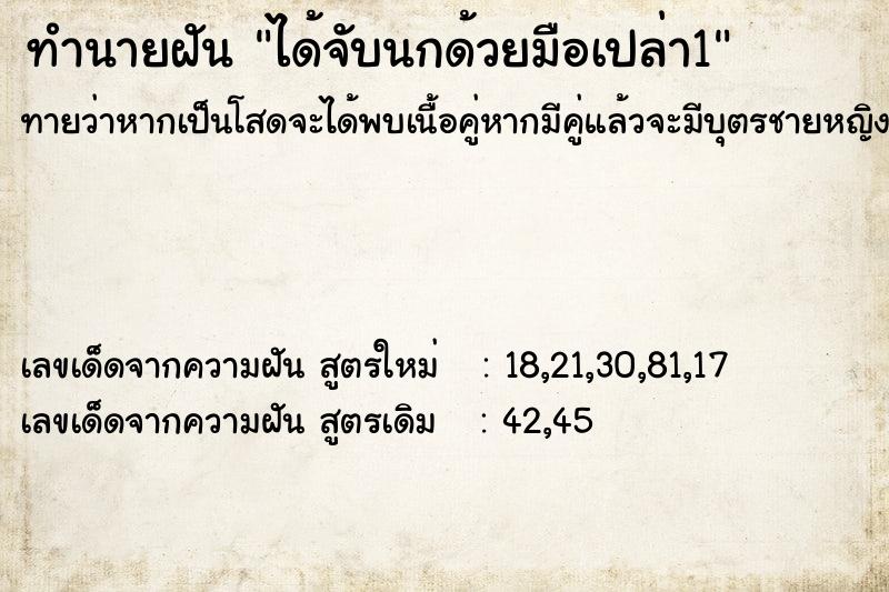 ทำนายฝัน ได้จับนกด้วยมือเปล่า1