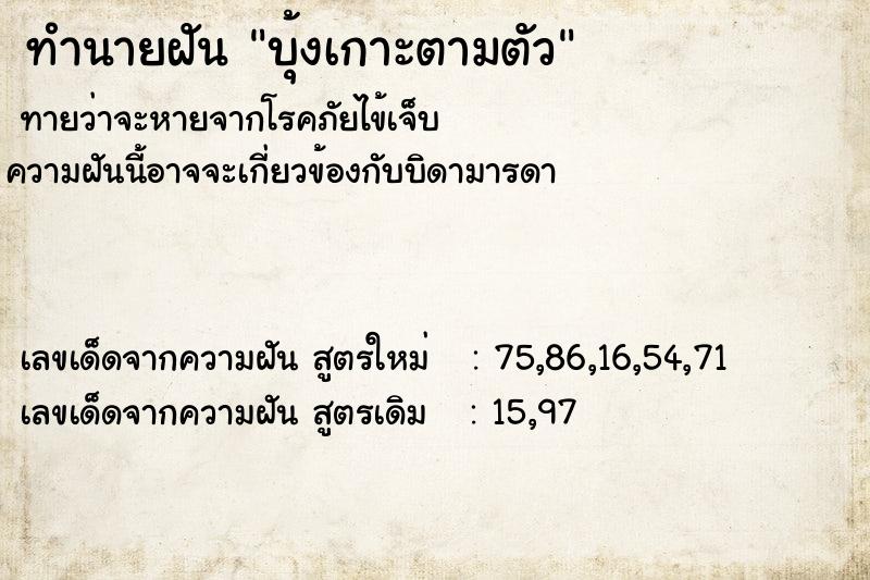 ทำนายฝัน บุ้งเกาะตามตัว  เลขนำโชค 