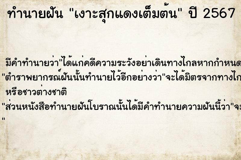 ทำนายฝัน เงาะสุกแดงเต็มต้น