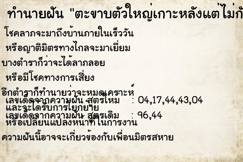 ทำนายฝัน ตะขาบตัวใหญ่เกาะหลังแต่ไม่กัด