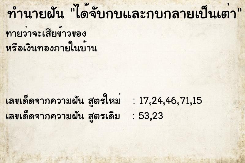 ทำนายฝัน ได้จับกบและกบกลายเป็นเต่า