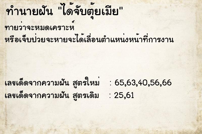 ทำนายฝัน ได้จับตุ้ยเมีย