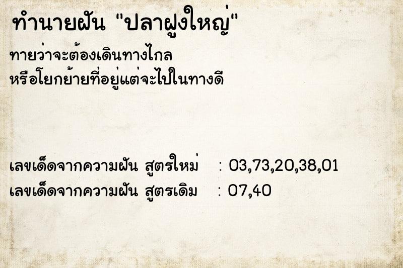 ทำนายฝัน ปลาฝูงใหญ่