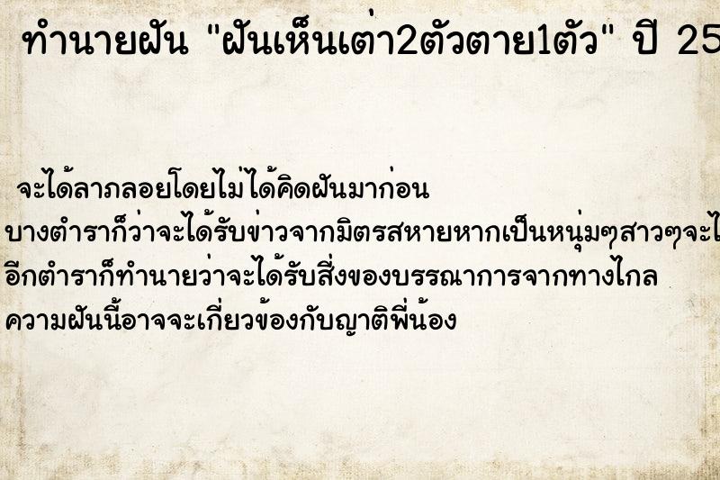 ทำนายฝัน ฝันเห็นเต่า2ตัวตาย1ตัว