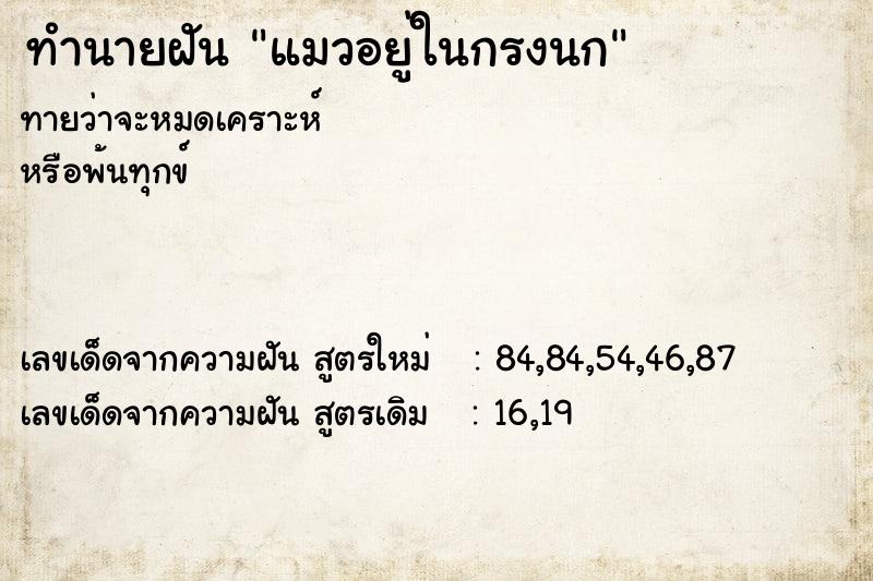 ทำนายฝัน แมวอยู่ในกรงนก