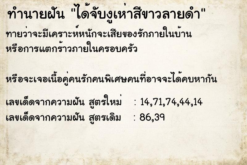 ทำนายฝัน ได้จับงูเห่าสีขาวลายดำ