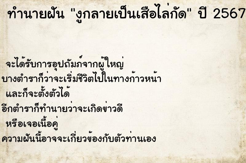 ทำนายฝัน งูกลายเป็นเสือไล่กัด  เลขนำโชค 