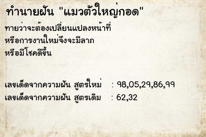 ทำนายฝัน แมวตัวใหญ่กอด