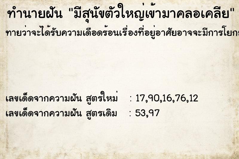 ทำนายฝัน มีสุนัขตัวใหญ่เข้ามาคลอเคลีย