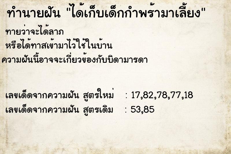 ทำนายฝัน ได้เก็บเด็กกำพร้ามาเลี้ยง