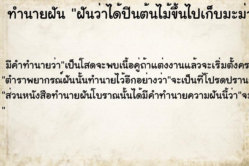 ทำนายฝัน ฝันว่าได้ปีนต้นไม้ขึ้นไปเก็บมะม่วง