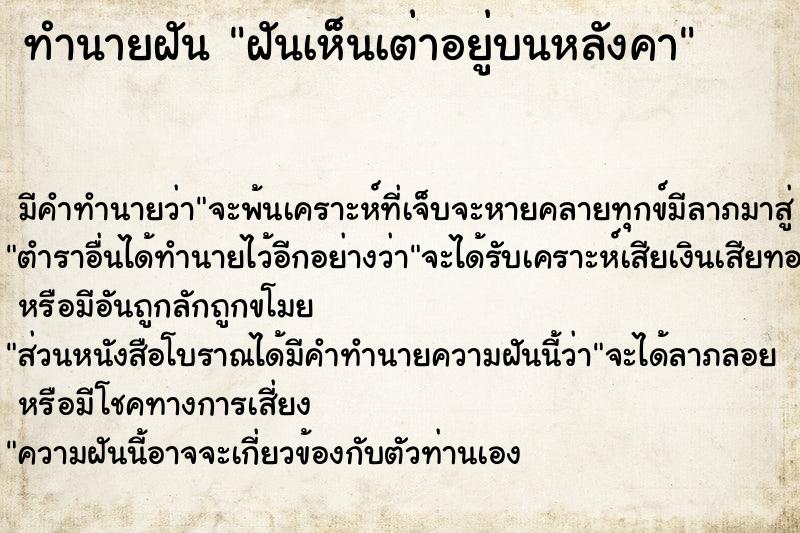 ทำนายฝัน ฝันเห็นเต่าอยู่บนหลังคา