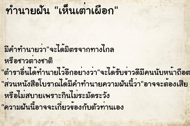 ทำนายฝัน เห็นเต่าเผือก  เลขนำโชค 