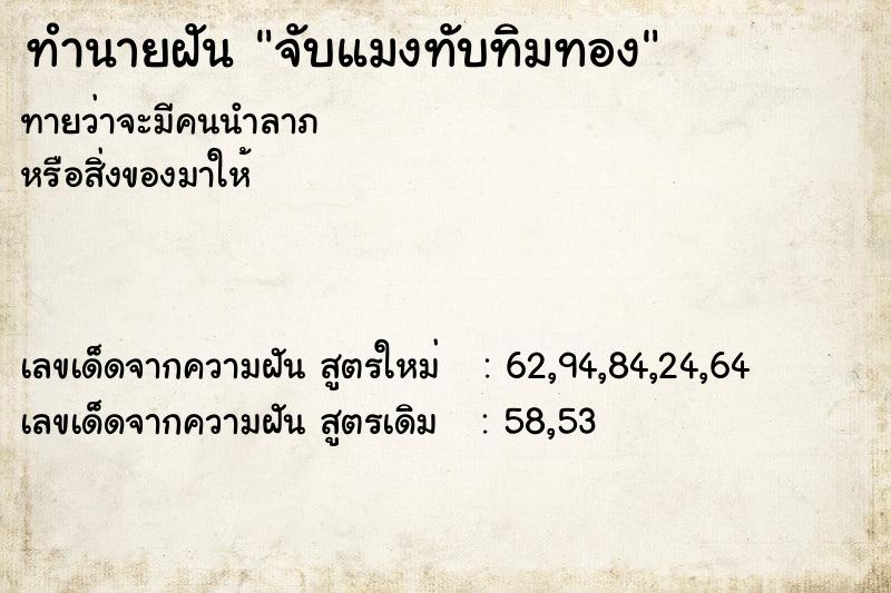 ทำนายฝัน จับแมงทับทิมทอง