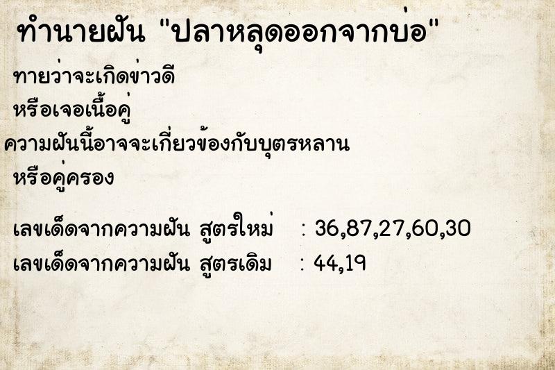 ทำนายฝัน ปลาหลุดออกจากบ่อ