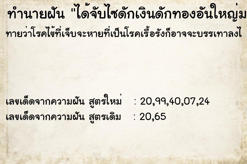 ทำนายฝัน ได้จับไซดักเงินดักทองอันใหญ่มาก