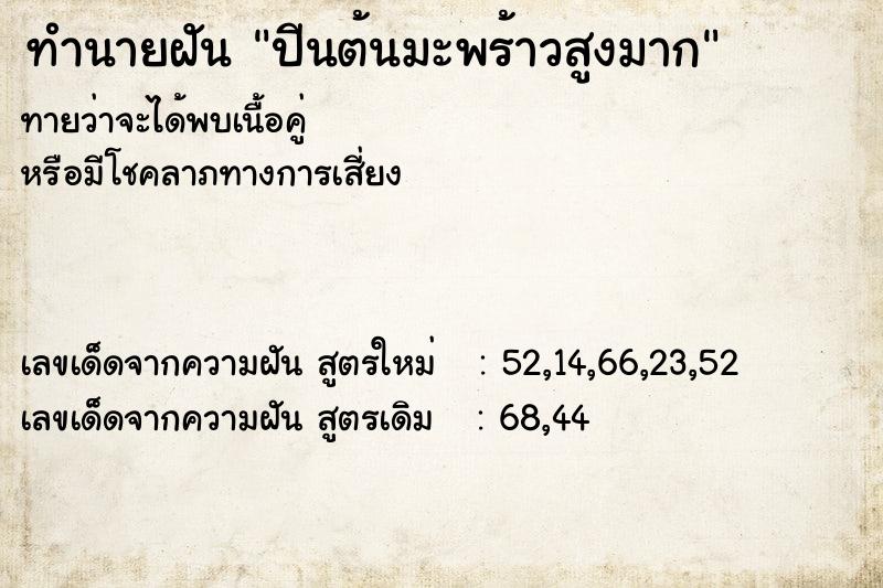 ทำนายฝัน ปีนต้นมะพร้าวสูงมาก