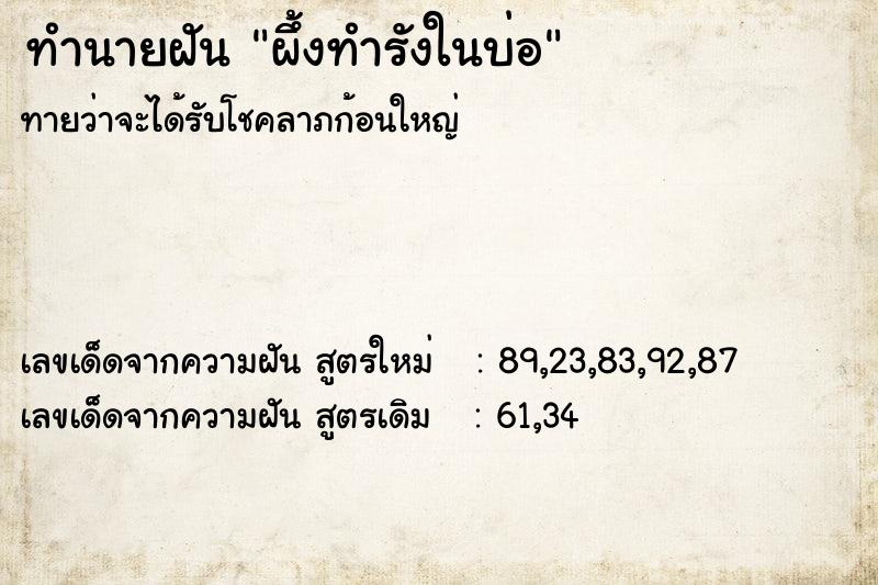 ทำนายฝัน ผึ้งทำรังในบ่อ