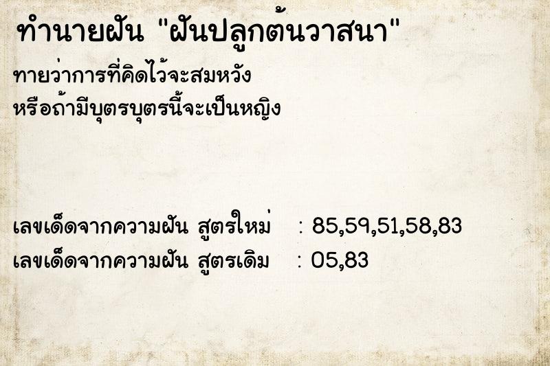 ทำนายฝัน ฝันปลูกต้นวาสนา