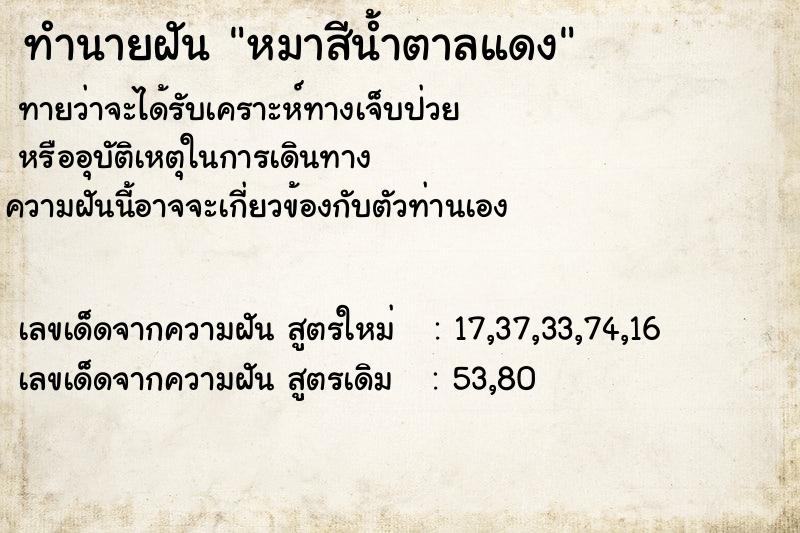 ทำนายฝัน หมาสีน้ำตาลแดง