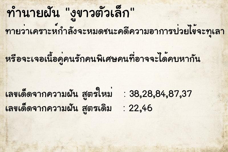 ทำนายฝัน งูขาวตัวเล็ก