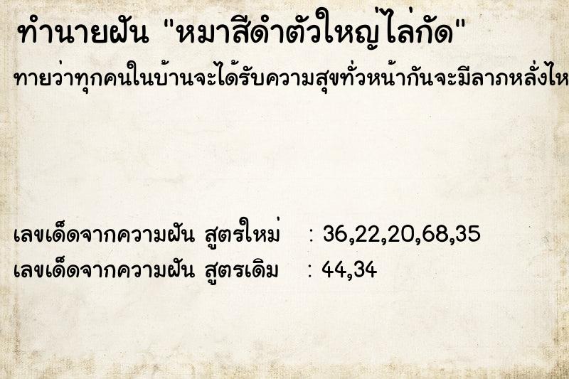 ทำนายฝัน หมาสีดำตัวใหญ่ไล่กัด