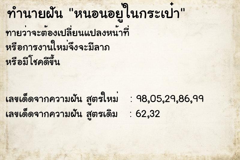 ทำนายฝัน หนอนอยู่ในกระเป๋า