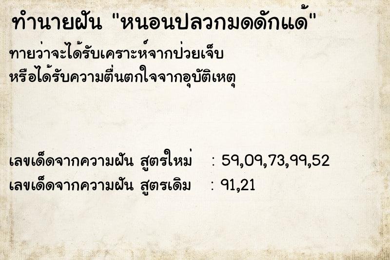 ทำนายฝัน หนอนปลวกมดดักแด้