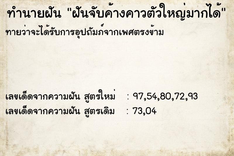 ทำนายฝัน ฝันจับค้างคาวตัวใหญ่มากได้  เลขนำโชค 