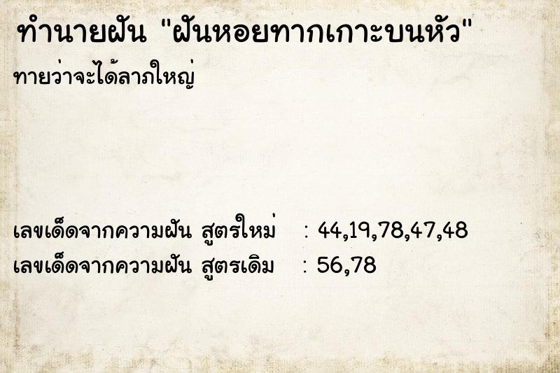 ทำนายฝัน ฝันหอยทากเกาะบนหัว