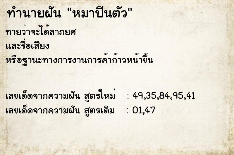 ทำนายฝัน หมาปีนตัว