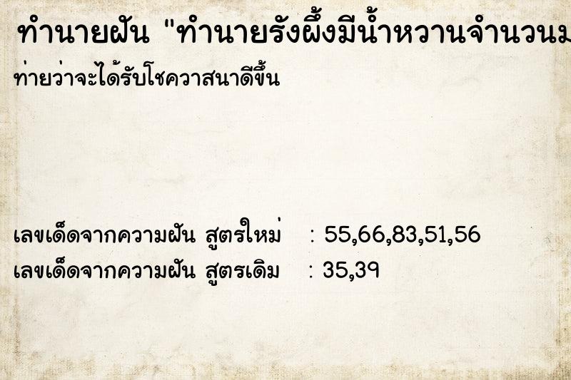 ทำนายฝัน ทำนายรังผึ้งมีน้ำหวานจำนวนมากได้ทานน้ำผึ้ง