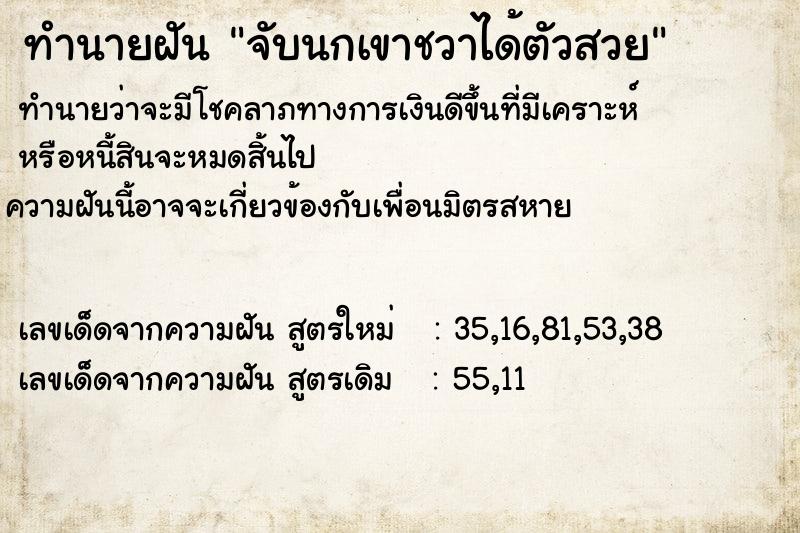 ทำนายฝัน จับนกเขาชวาได้ตัวสวย