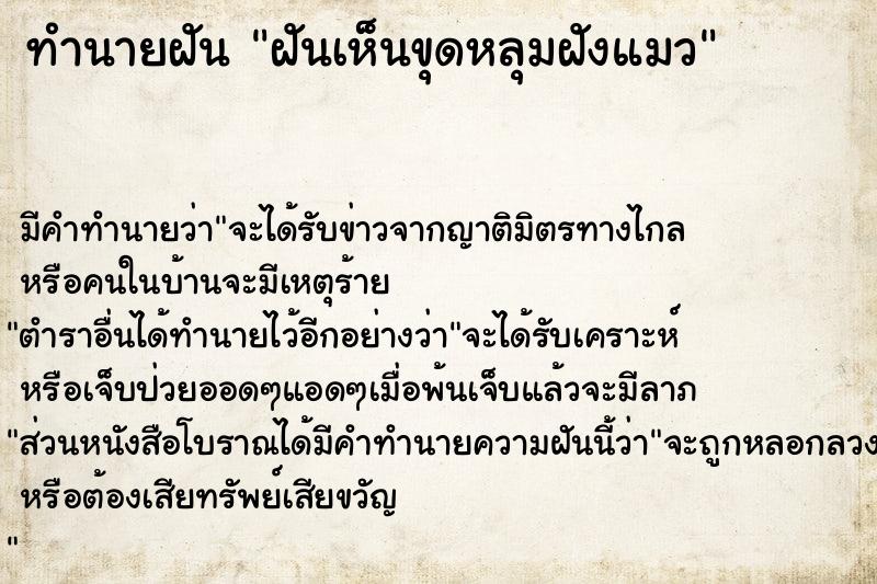 ทำนายฝัน ฝันเห็นขุดหลุมฝังแมว