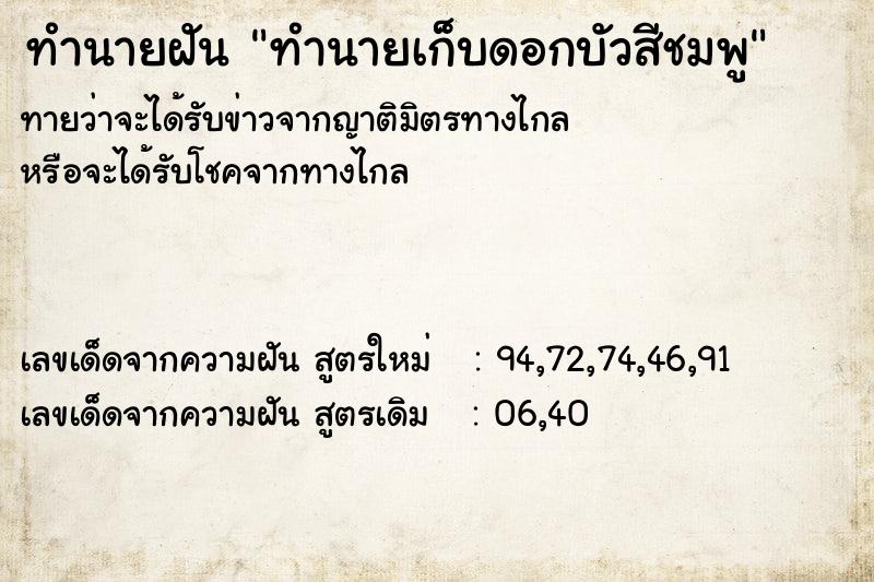 ทำนายฝัน ทำนายเก็บดอกบัวสีชมพู