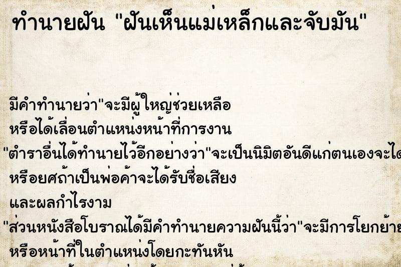 ทำนายฝัน ฝันเห็นแม่เหล็กและจับมัน