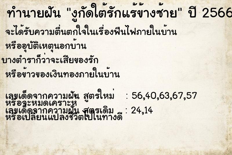 ทำนายฝัน งูกัดใต้รักแร้ข้างซ้าย  เลขนำโชค 