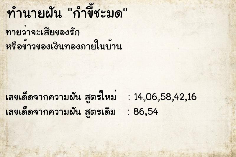 ทำนายฝัน กำขี้ชะมด