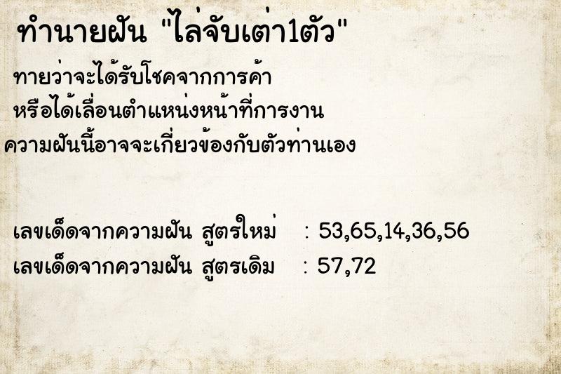 ทำนายฝัน ไล่จับเต่า1ตัว