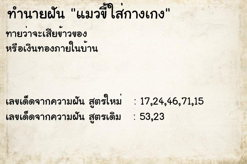 ทำนายฝัน แมวขี้ใส่กางเกง