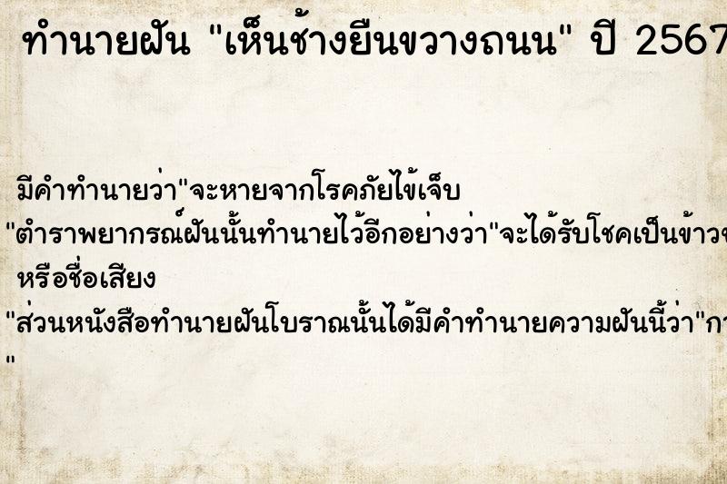 ทำนายฝัน เห็นช้างยืนขวางถนน