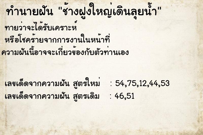 ทำนายฝัน ช้างฝูงใหญ่เดินลุยน้ำ