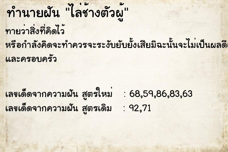 ทำนายฝัน ไล่ช้างตัวผู้  เลขนำโชค 