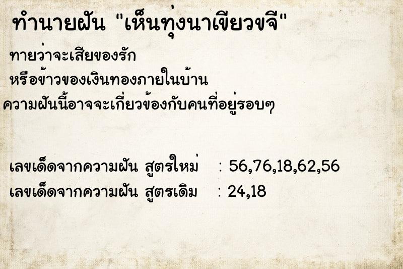 ทำนายฝัน เห็นทุ่งนาเขียวขจี