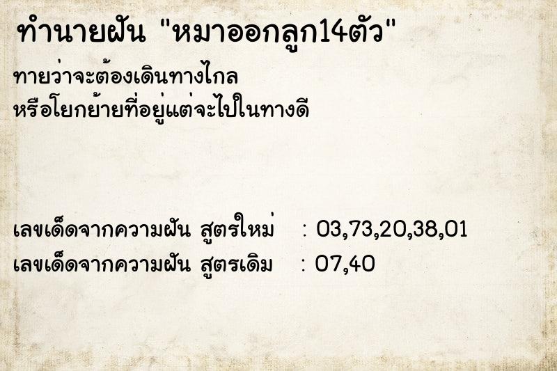 ทำนายฝัน หมาออกลูก14ตัว