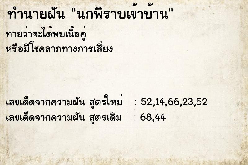 ทำนายฝัน นกพิราบเข้าบ้าน  เลขนำโชค 