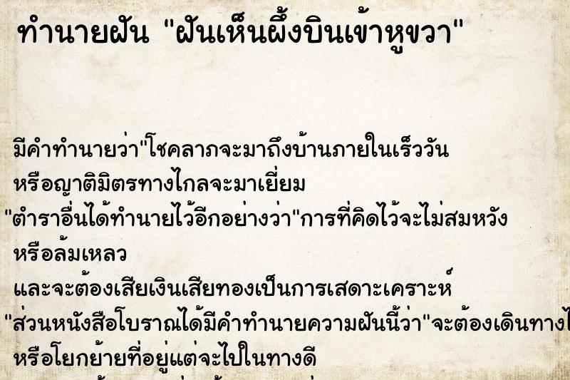 ทำนายฝัน ฝันเห็นผึ้งบินเข้าหูขวา