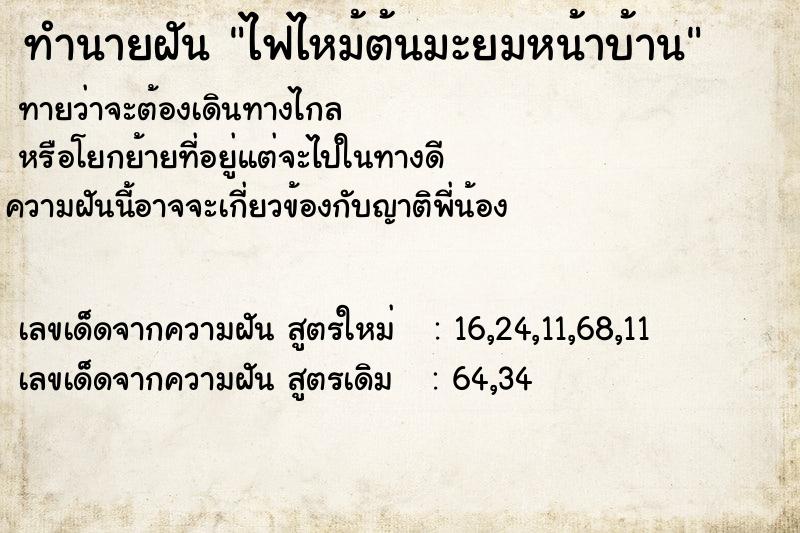 ทำนายฝัน ไฟไหม้ต้นมะยมหน้าบ้าน